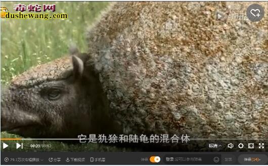 美国南部发现史前雕齿兽甲壳化石