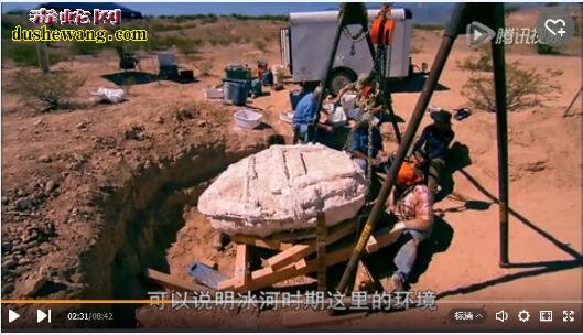 美国南部发现史前雕齿兽甲壳化石