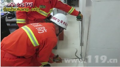 莆田:毒蛇误入银行办公室 消防官兵快速捕捉