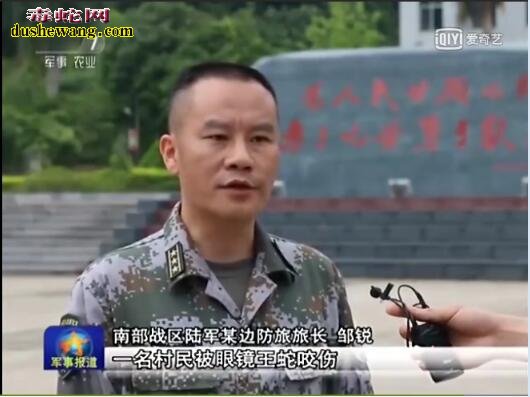广西眼镜王蛇咬伤老人,军医援手相助脱险
