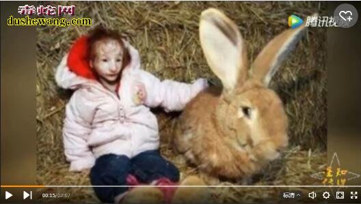 英国现实版拇指姑娘:6岁时比兔子还小