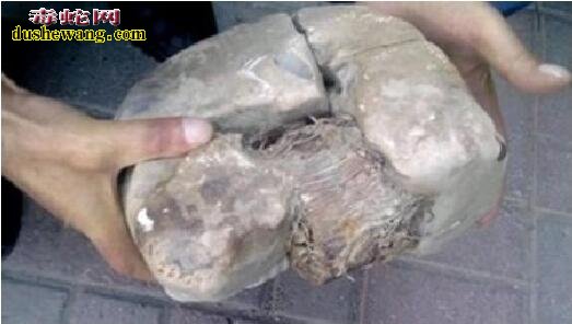 巴尔干半岛发现神秘物体 疑似两万年前变压器
