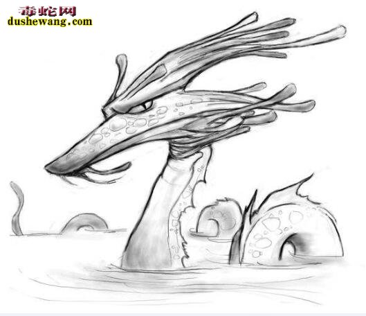 海蛇简笔画7