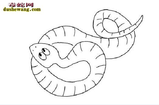 海蛇简笔画