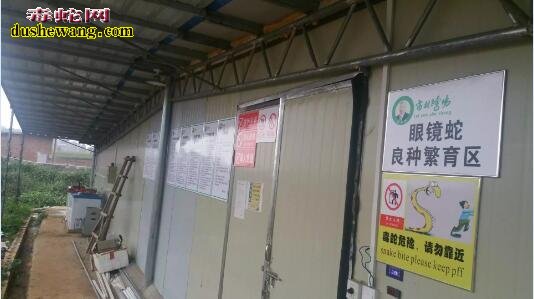 养蛇场建设