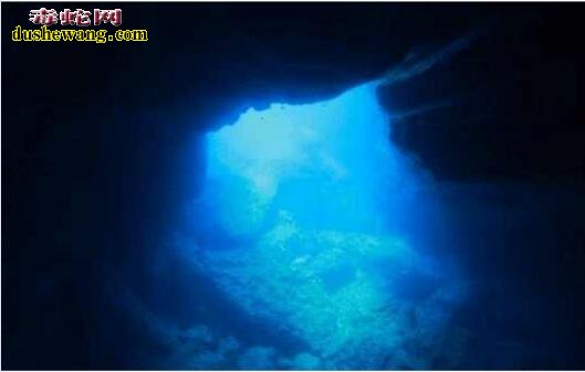 马里亚纳神秘海沟发现生命遗迹