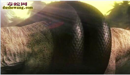 泰坦蟒吃霸王龙图片10