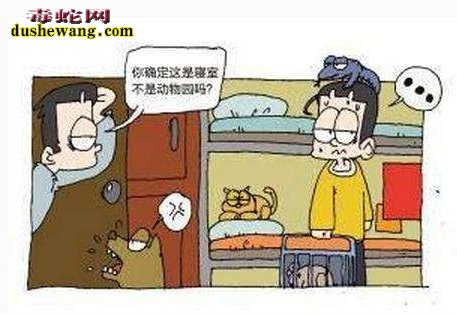 女大学生宿舍养蛇 你考虑到小伙伴的感受吗