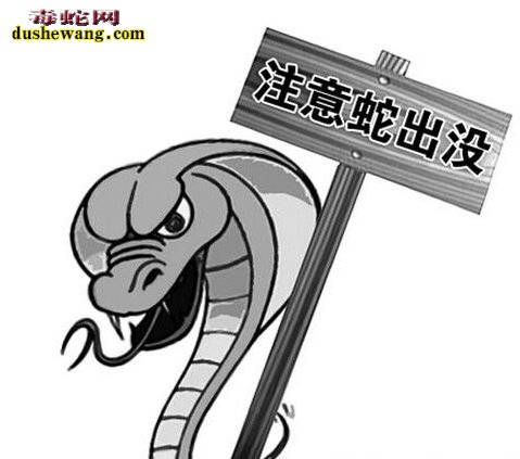 差点作死!萧山小伙不是剧毒银环蛇 半开蛇最被咬险送命!