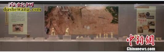 南京首次地下发现唐代官墓群 并出土大量珍贵文物