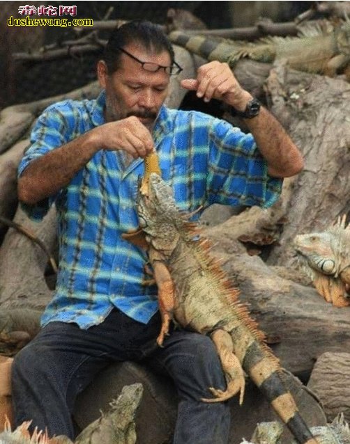 墨西哥男子家财散尽, 妻离子散 只为一群恐怖生物“巨蜥”