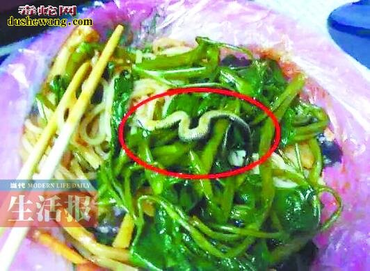 广西大学螺蛳粉店吃出小蛇?