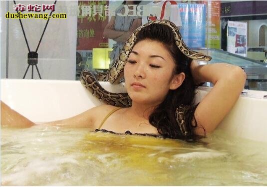 女人养蛇