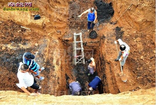 记住:男子墓穴杀大蛇、断小蛇尾逃走 一年后爆发失去一条腿!