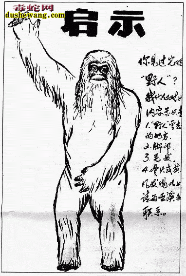 【野人】神农架究竟有没有“野人” 听听专家怎么说的?