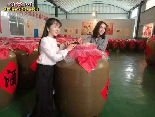 养蛇收益怎么样 现在养蛇经济效益如何