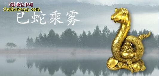 属蛇一生运势怎么样?