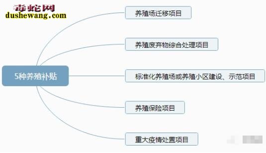 养蛇补贴