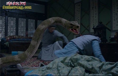 关于蟒蛇的电影大全 十大最恐怖的蟒蛇电影推荐