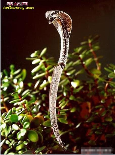 南非蝮蛇刀图片1