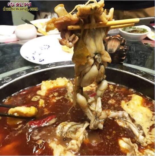 牛蛙有寄生虫吗 吃牛蛙感染寄生虫的几率大吗?