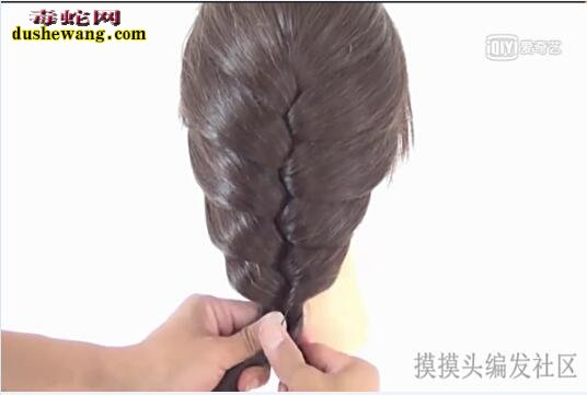 蝎子辫的编法图解