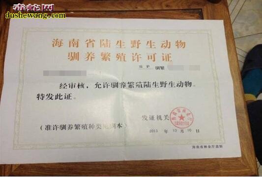 养蛇要什么证 办理养蛇证要多少钱
