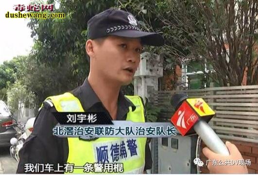 顺德少年被毒蛇咬伤差点丧命 警车护航有惊无险！