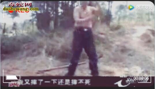 70岁老汉苦练30年蛤蟆功图片3
