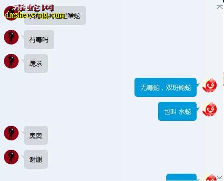 不识毒蛇和无毒蛇 被蛇咬伤后什么感觉