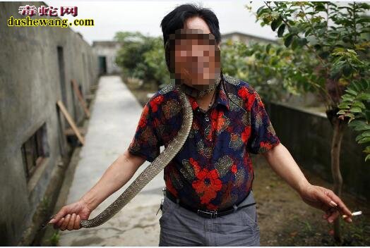 浙江蛇村养蛇培训中心的咨询电话有谁知道?技术怎么样?
