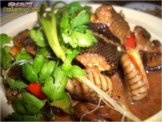 蛇肉菜 蛇肉做菜的菜名有哪些?