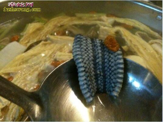 人吃蛇肉变成蛇人你也信!蛇肉的功效和作用无法忽视?