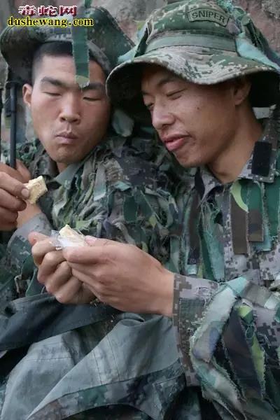 舌尖上的特种兵:吃蛇肉,饮蛇血胆小勿看