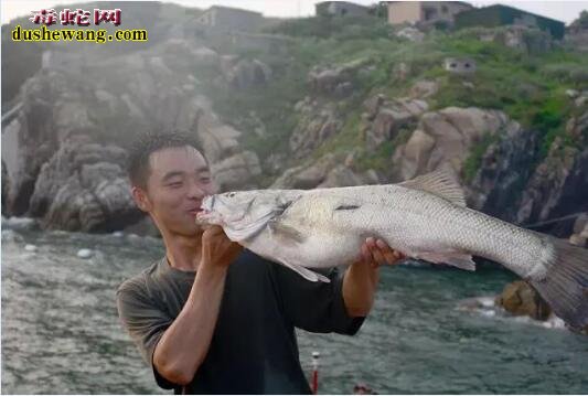 舌尖上的特种兵:吃蛇肉,饮蛇血胆小勿看