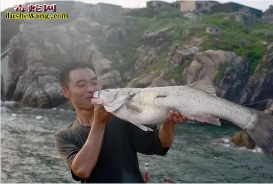 舌尖上的特种兵：吃蛇肉，饮蛇血胆小勿看