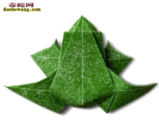 纸青蛙-各种折纸青蛙图片大全8