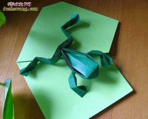 纸青蛙-各种折纸青蛙图片大全11