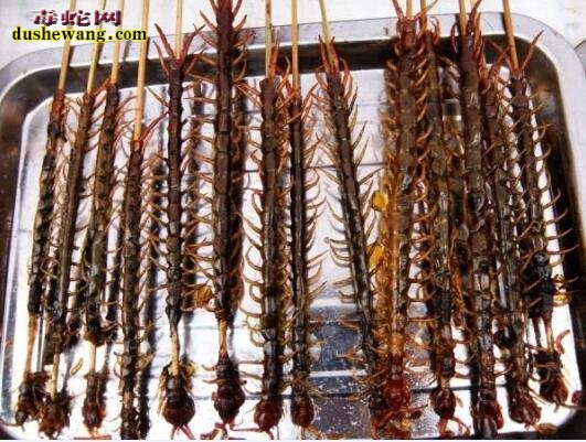 中国吃货多!街边烤蛇肉、烤田鼠、烤蜈蚣你敢吃吗?