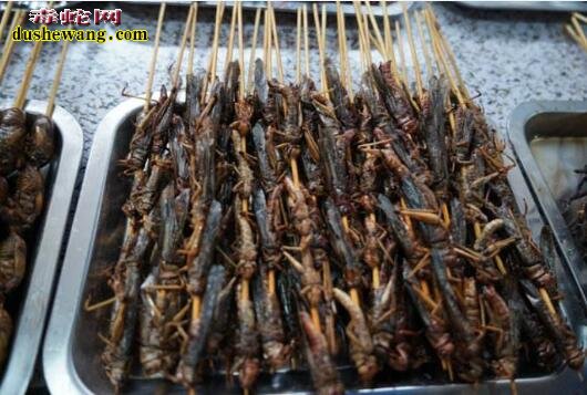 中国吃货多!街边烤蛇肉、烤田鼠、烤蜈蚣你敢吃吗?