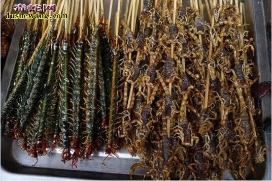 中国吃货多!街边烤蛇肉、烤田鼠、烤蜈蚣你敢吃吗?