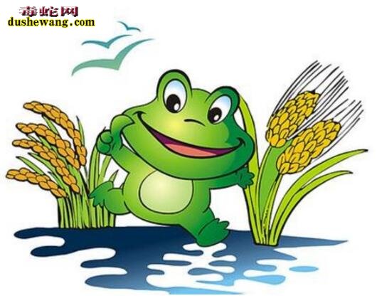 梦见青蛙是什么意思