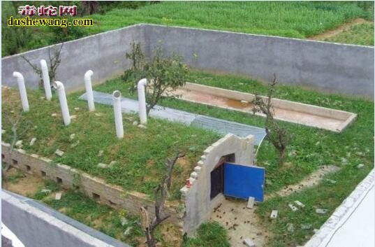 立体养蛇技术