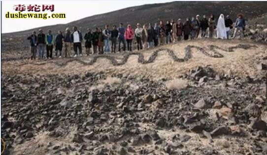 长白山3000年巨蛇图片欣赏