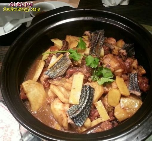 蛇肉药用价值 蛇肉能吃还是不能吃?