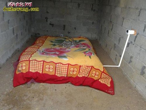 深秋无冬眠养蛇开始加温 养蛇模式的利弊立即见分晓!