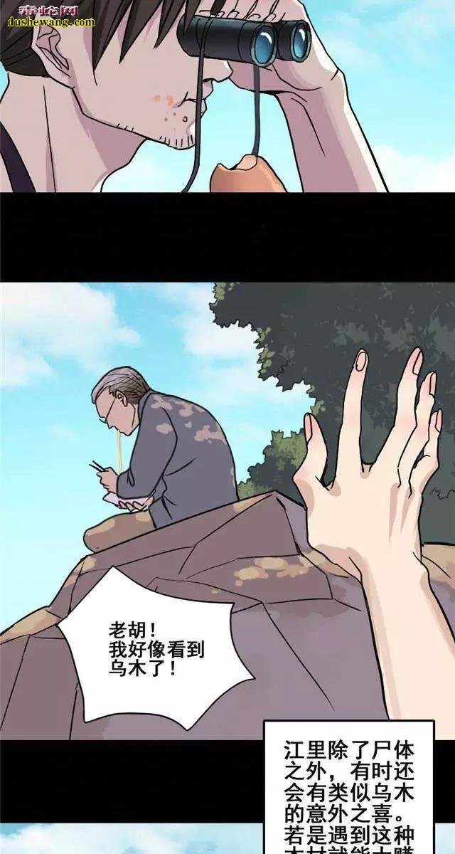 灵异画册故事：捞尸人的凶棺惊魂
