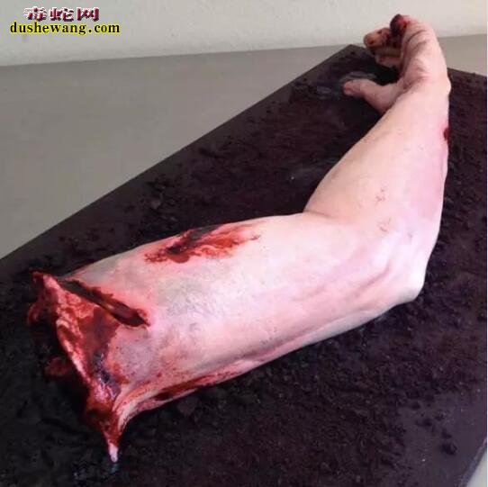 美国糕点艺术家:做的蛋糕太“血腥” 大家表示不敢下口吃!