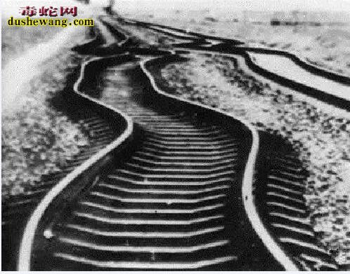 唐山大地震41周年:回忆1976年唐山大地震种种诡异怪事