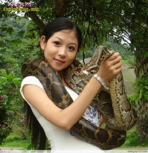 养蛇当宠物有危险吗?
